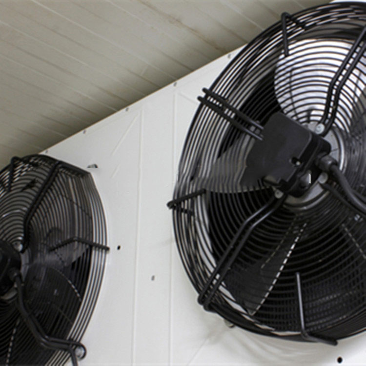 cold room fan motor