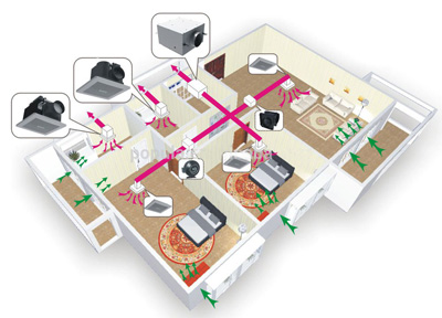 show room.jpg